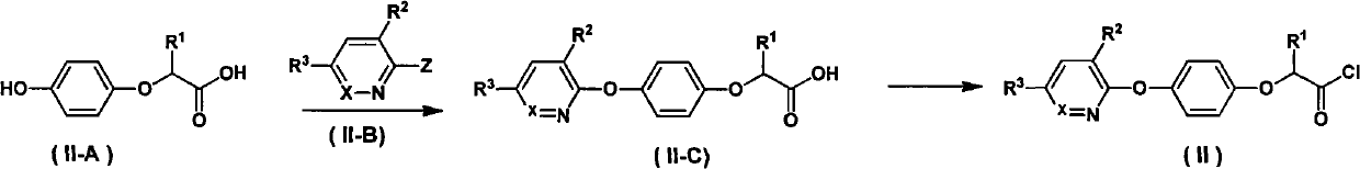 N-oxyaryloxyphenoxy carboxylic acid amide compound with bioactivity and preparation method thereof