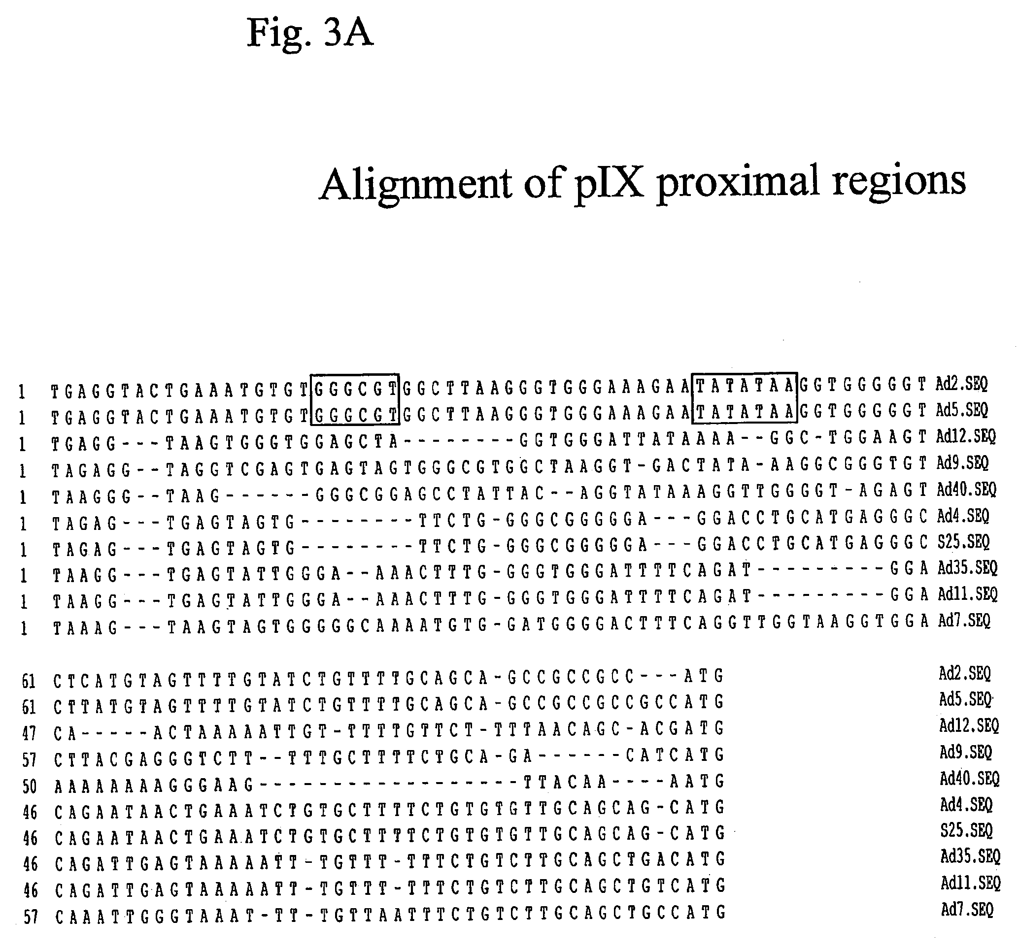 Stable adenoviral vectors and methods for propagation thereof