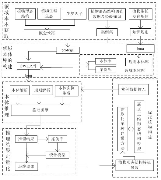 Individual plant wood modeling method driven by domain ontology