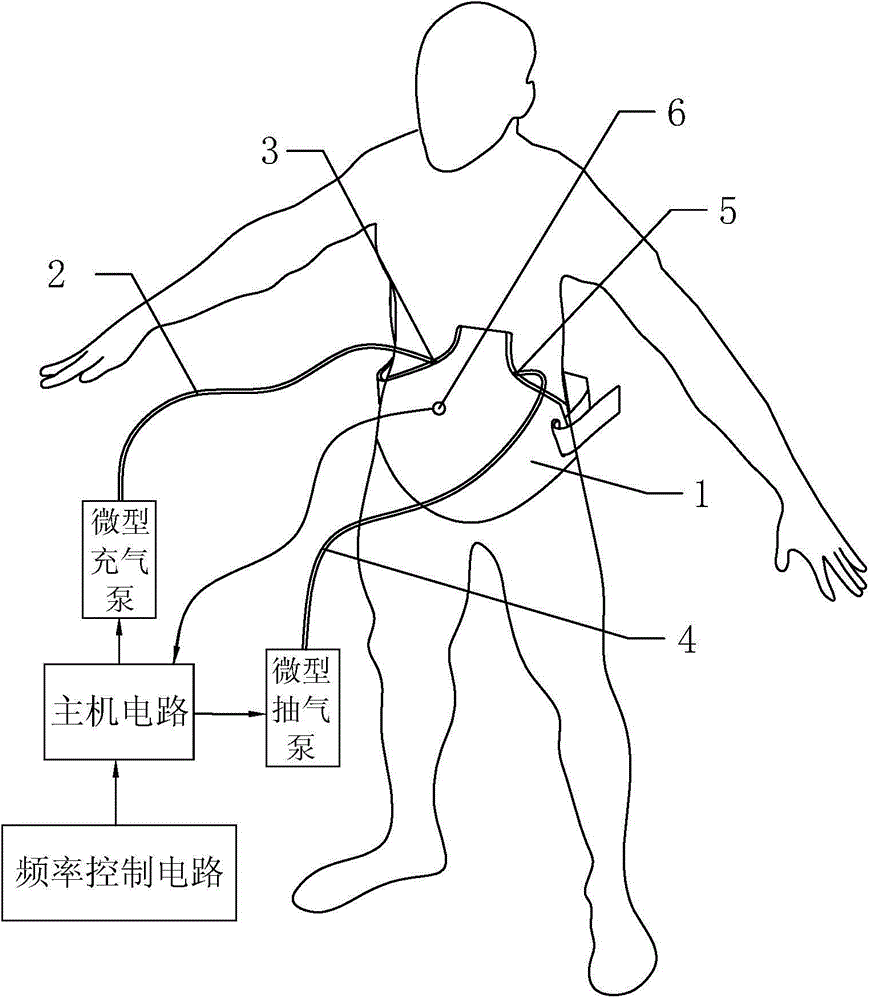 Abdominal respiration training device