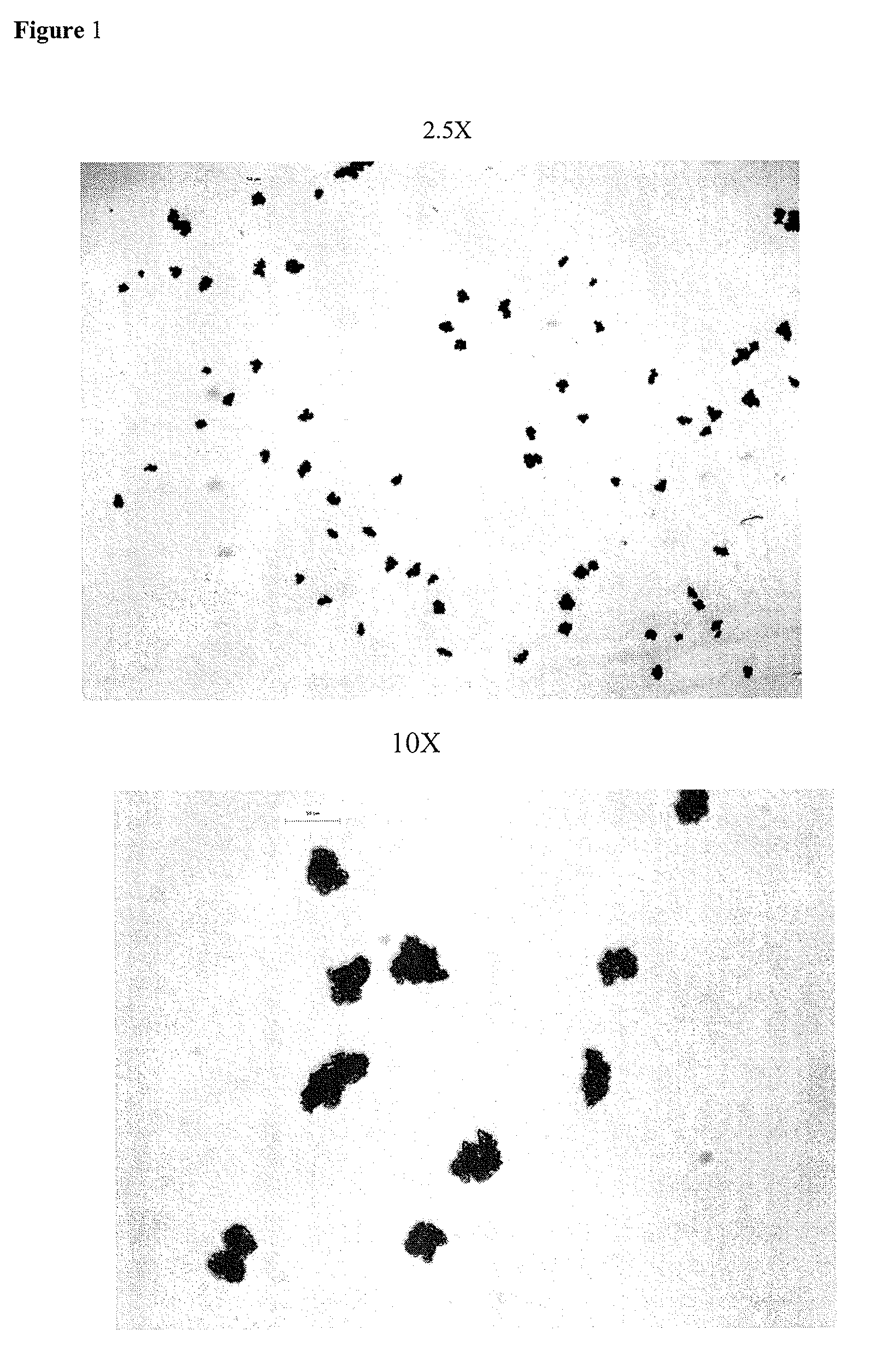 Fexofenadine microcapsules and compositions containing them