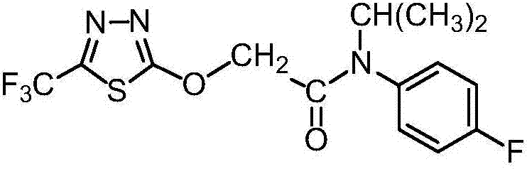 Weeding composition containing flufenacet, flucarbazone and amicarbazone