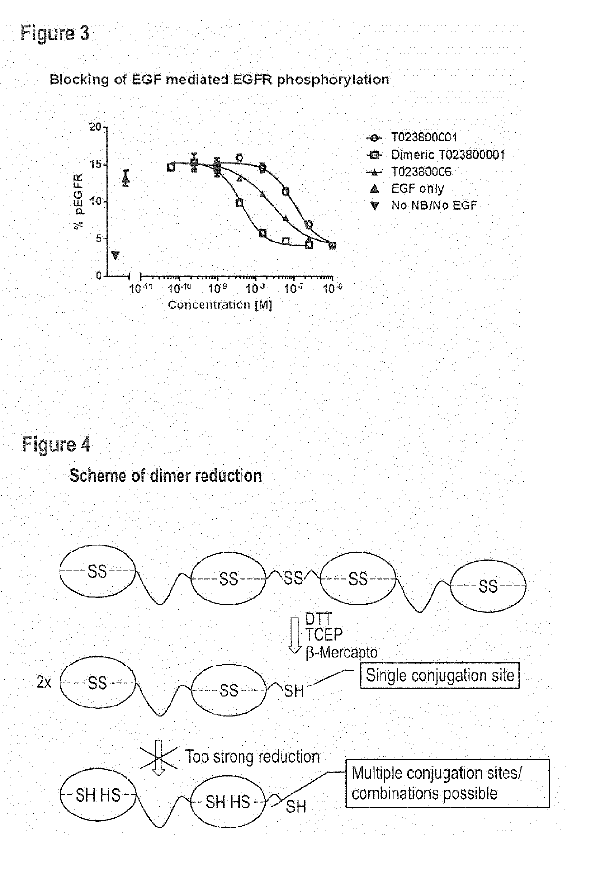 Nanobody dimers linked via c-terminally engineered cysteins