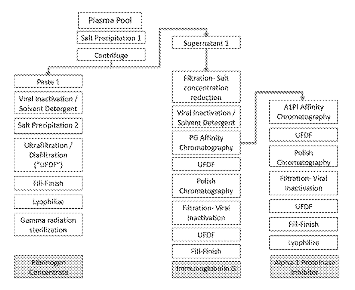 Processes for purifying proteins from plasma