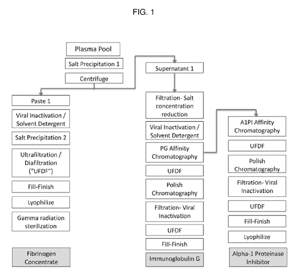 Processes for purifying proteins from plasma