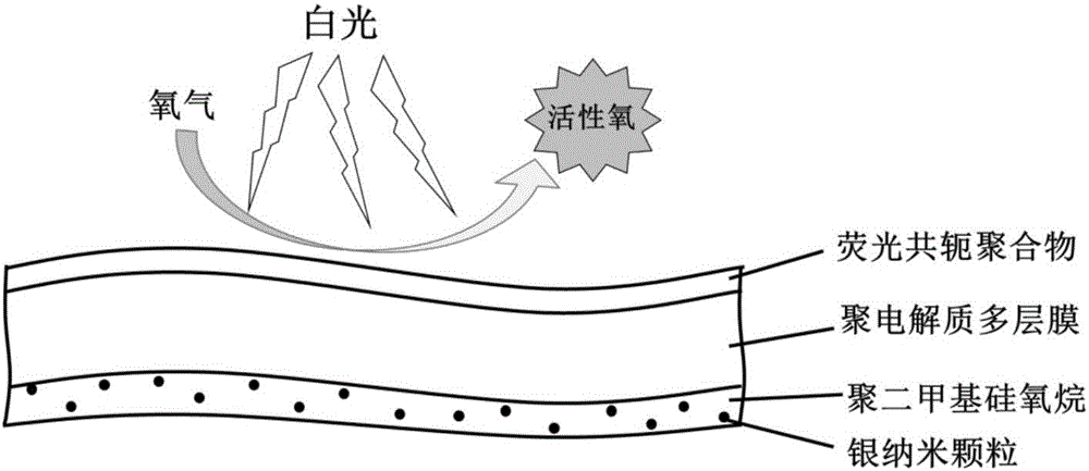 Preparation and application methods of flexible composite film with sterilization function