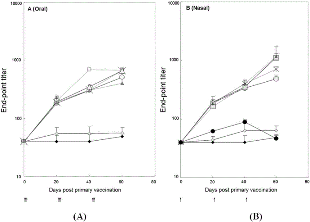 Schistosoma japonica and tetanus bivalent oral or nose-dripping vaccine