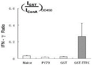 Schistosoma japonica and tetanus bivalent oral or nose-dripping vaccine