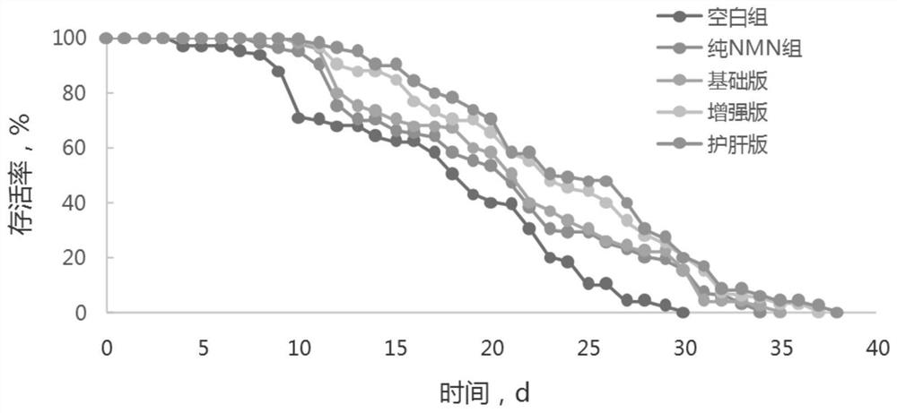 Plant-derived anti-aging composition and application thereof