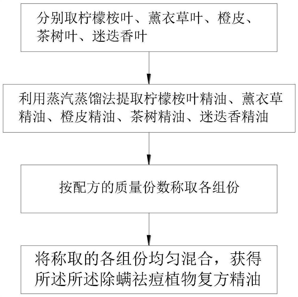 Plant compound essential oil for removing mites and acnes and preparation method thereof