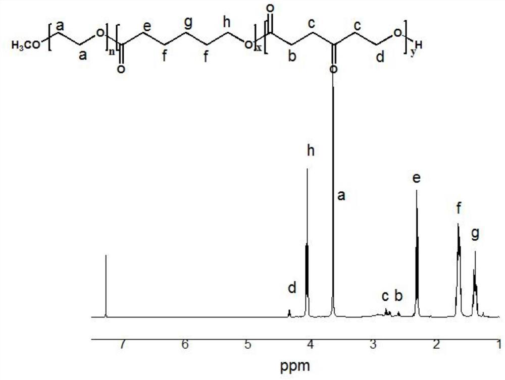 A carbonylated polycaprolactone-based photodynamic therapy prodrug and its preparation method and application