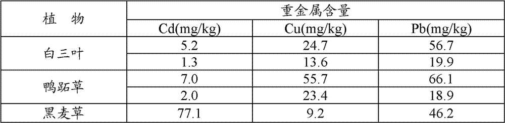 Bioremediation method for soil polluted by heavy metals