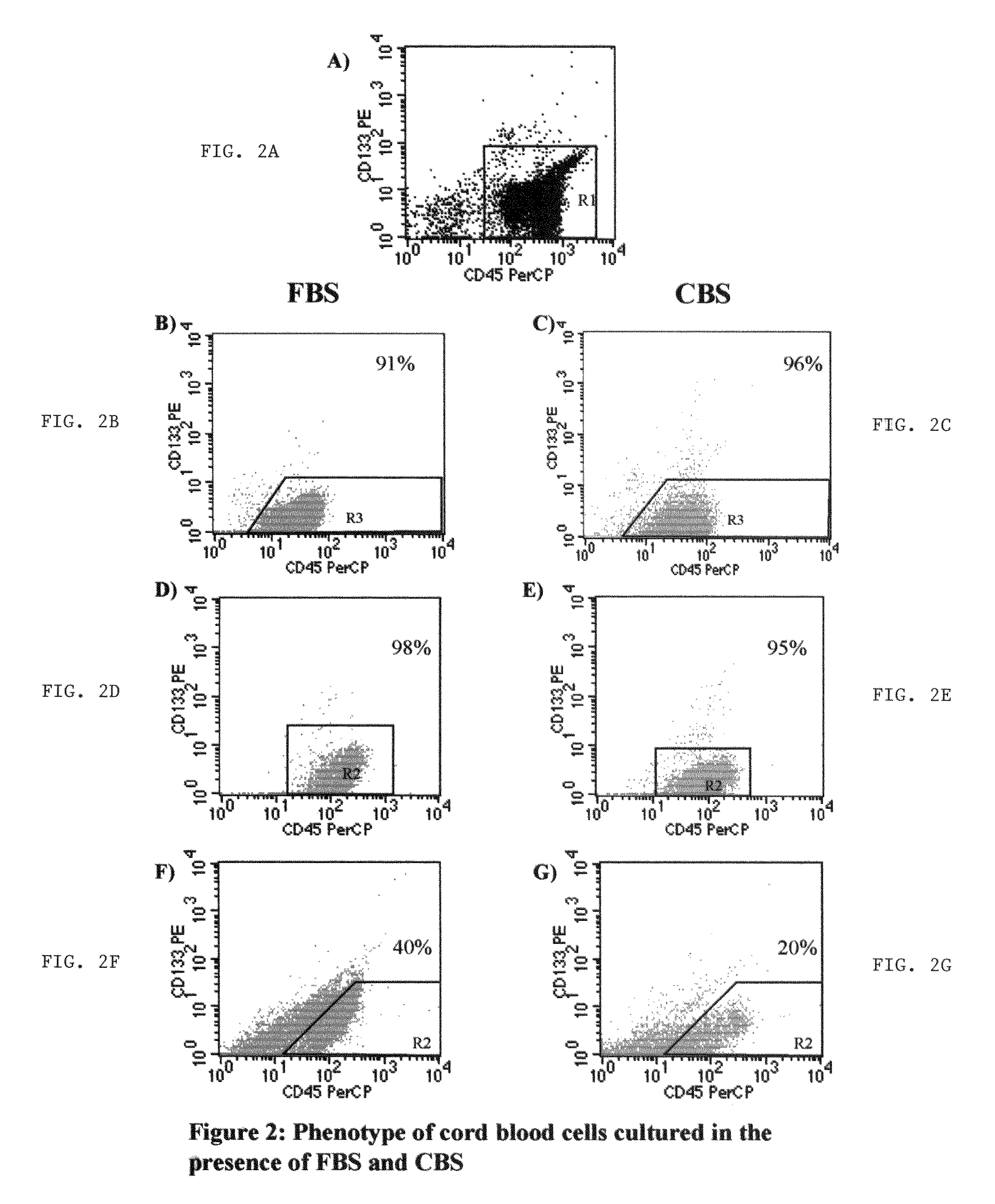 Growth of neural precursor cells using umbilical cord blood serum and a process for the preparation for therapeutic purposes