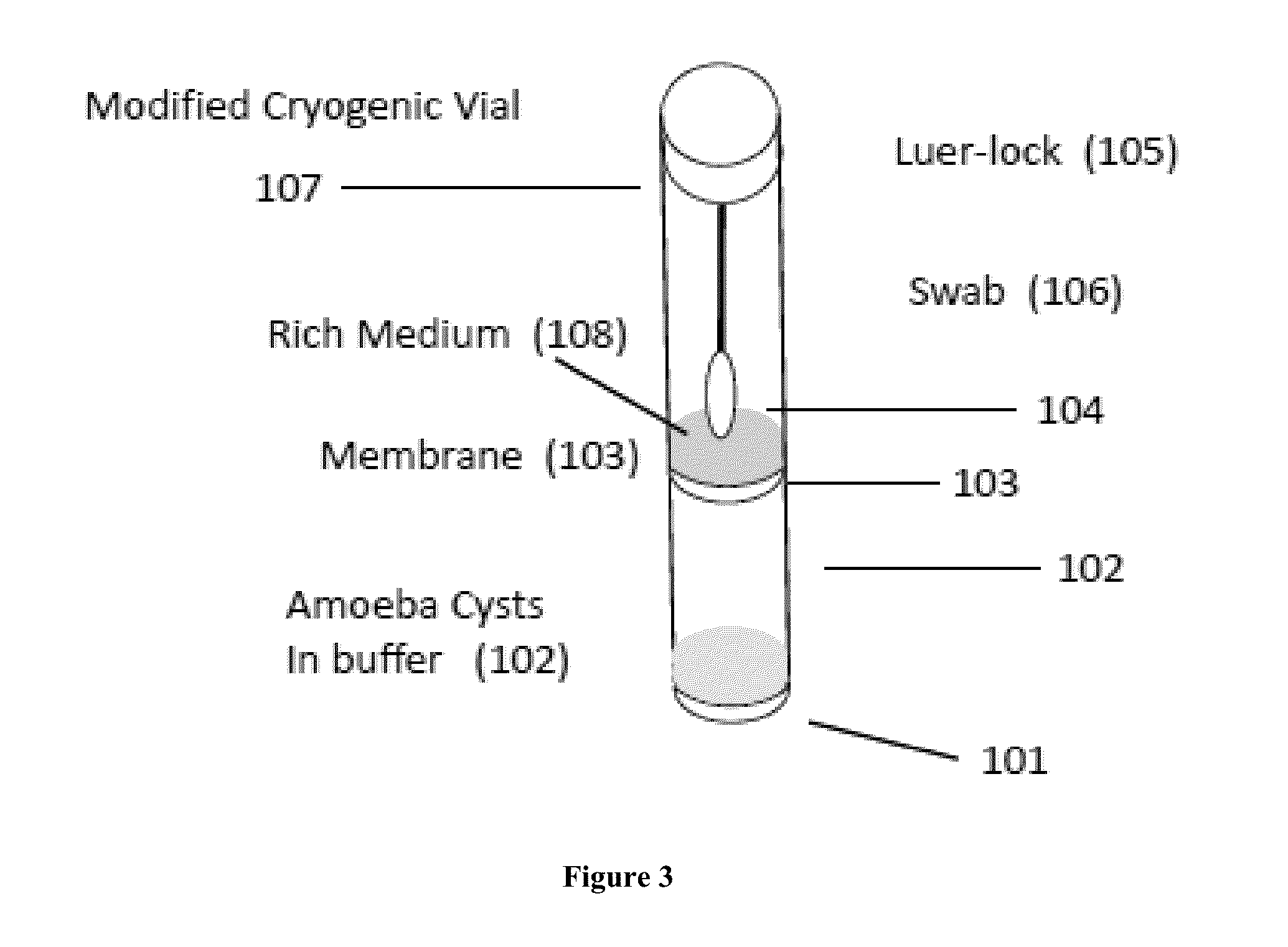 Compositions and methods for pathogen transport