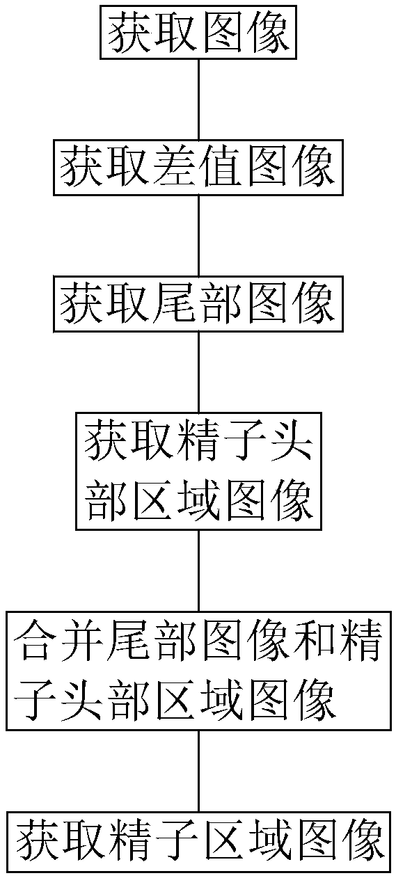 Sperm tail recognition method