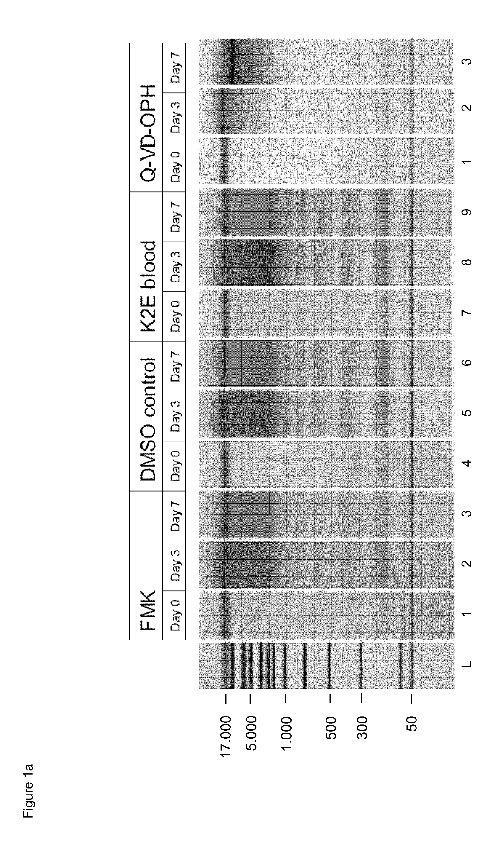 Stabilisation and isolation of extracellular nucleic acids