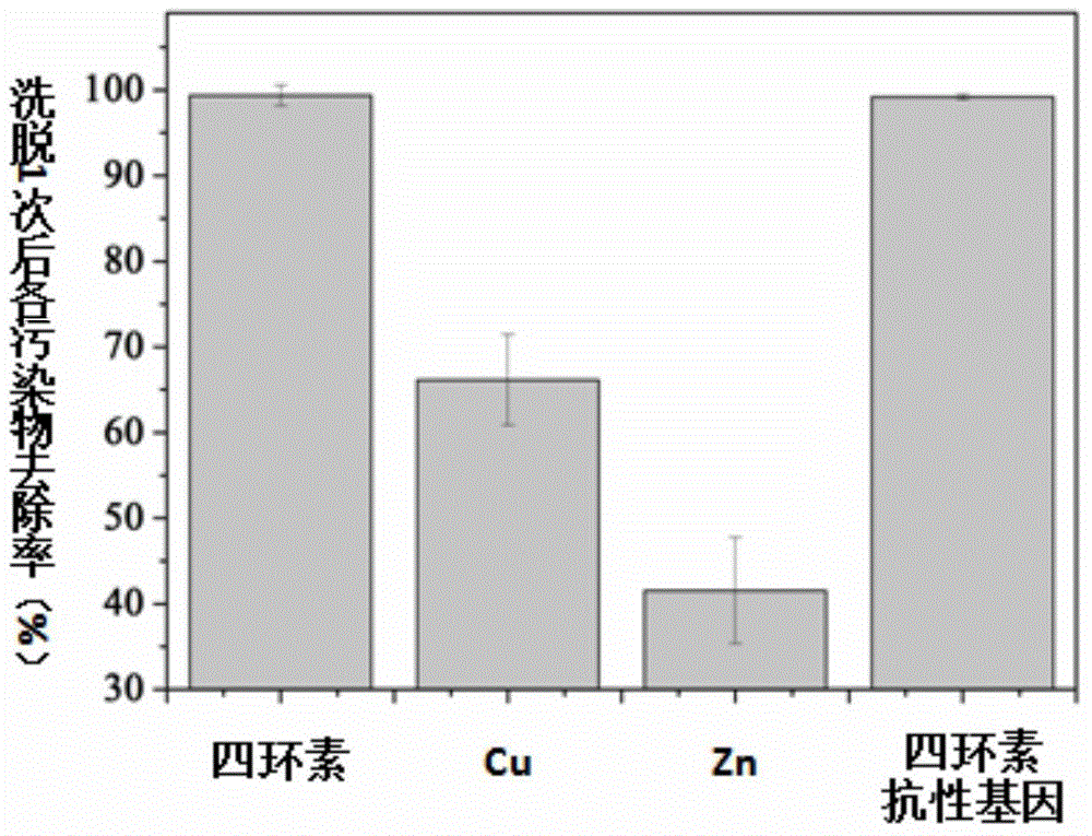 Synergistic elution and remediation method for tetracycline and heavy metal compound high-abundant resistant gene contaminated site soil