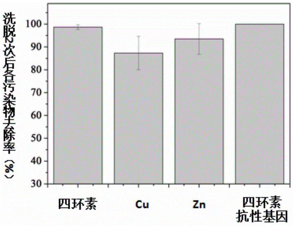 Synergistic elution and remediation method for tetracycline and heavy metal compound high-abundant resistant gene contaminated site soil