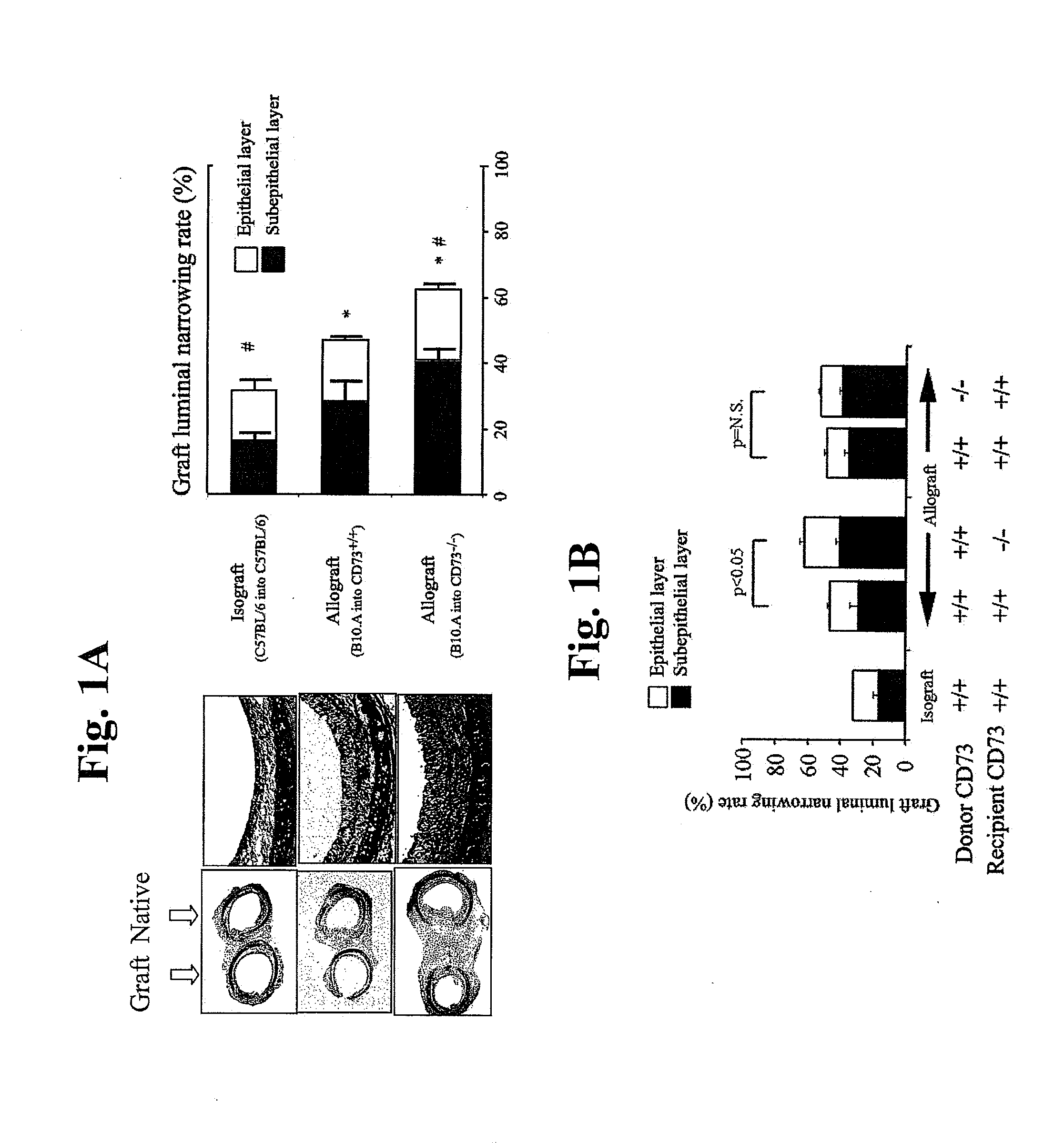 Nucleotide phosphate dissipation as a treatment for vascular disorders