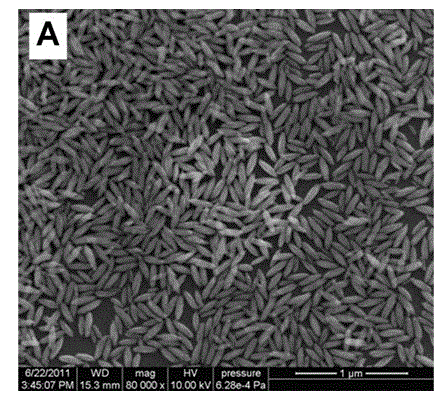 Rice-grain-shaped fluoride/silver composite nanometer material and preparation method and application thereof