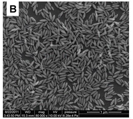 Rice-grain-shaped fluoride/silver composite nanometer material and preparation method and application thereof