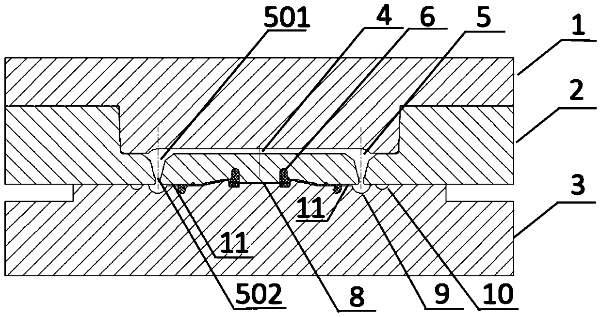 Automobile hydrogenated butadiene-acrylonitrile rubber PCV valve diaphragm forming die and machining method