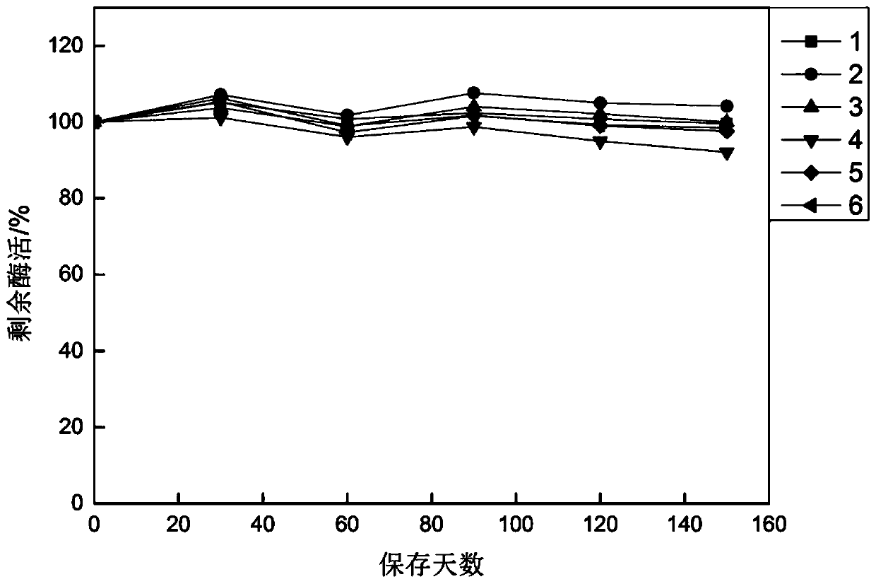 Immobilized glutamine transaminase preparation method