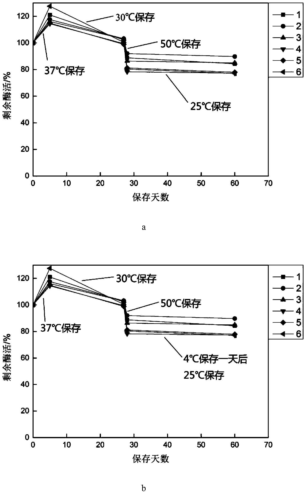 Immobilized glutamine transaminase preparation method