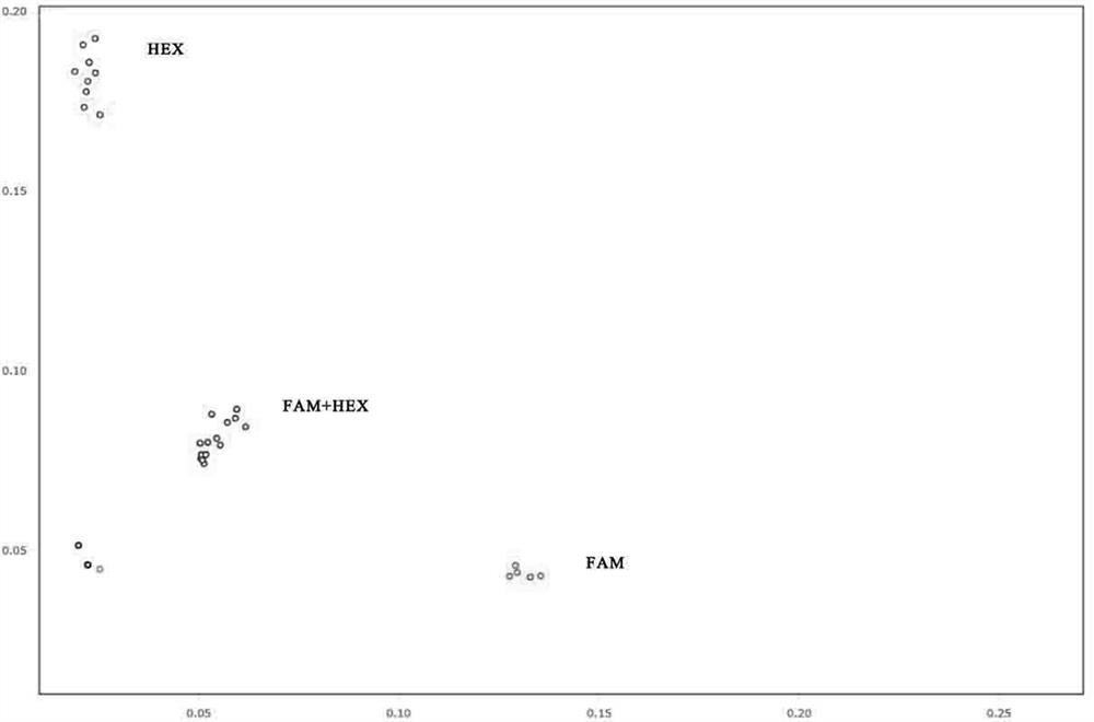 Screening method of polymorphic SNP molecular markers, polymorphic SNP molecular markers and primer pair