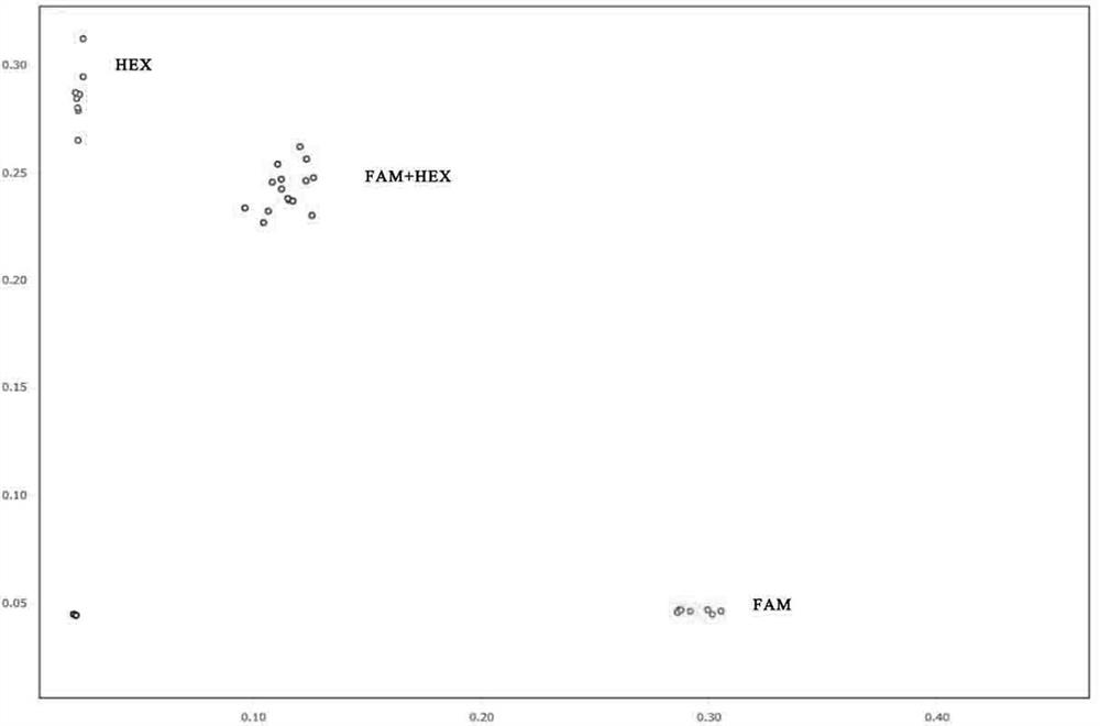 Screening method of polymorphic SNP molecular markers, polymorphic SNP molecular markers and primer pair