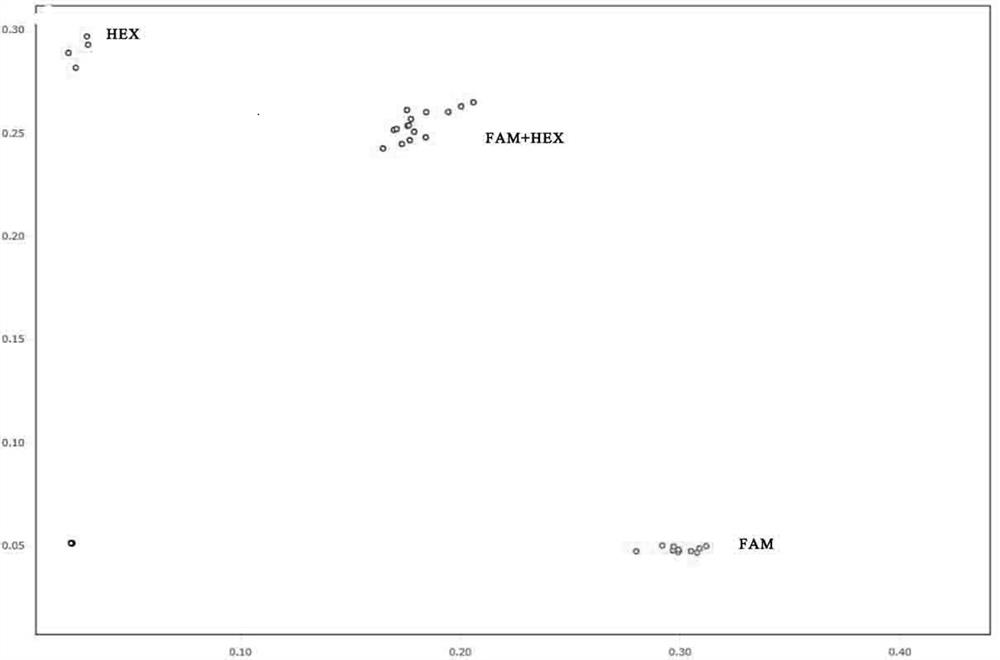 Screening method of polymorphic SNP molecular markers, polymorphic SNP molecular markers and primer pair