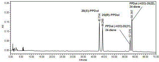 Preparation method for rare ginsenoside C-K and F1 and four kinds of isomer ginsengenin