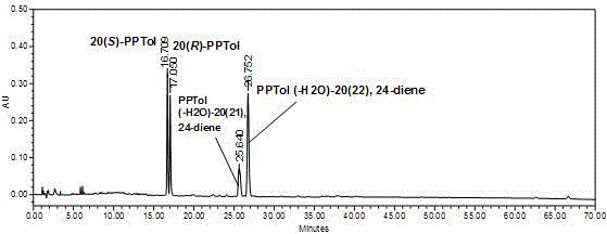 Preparation method for rare ginsenoside C-K and F1 and four kinds of isomer ginsengenin