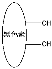 Hair dye composition