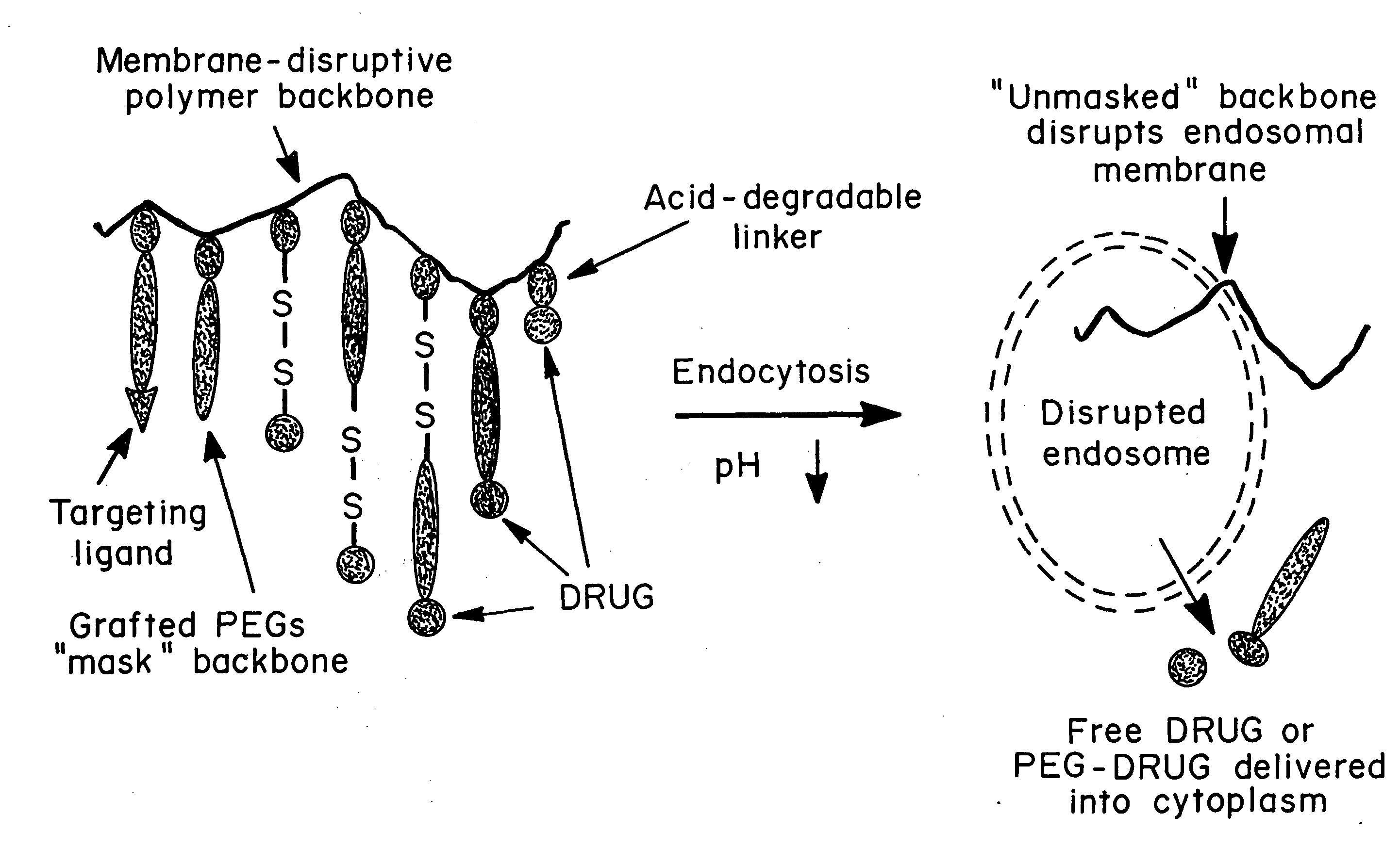 Enhanced transport using membrane disruptive agents