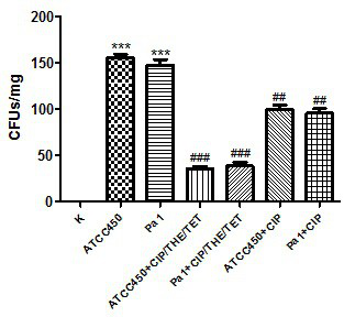 Pharmaceutical composition against Pasteurella multocida