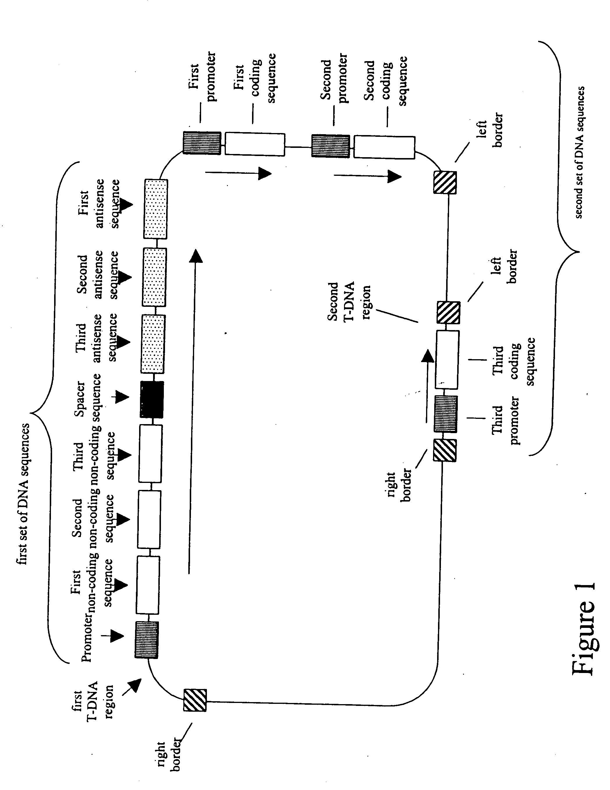 Nucleic acid constructs and methods for producing altered seed oil compositions