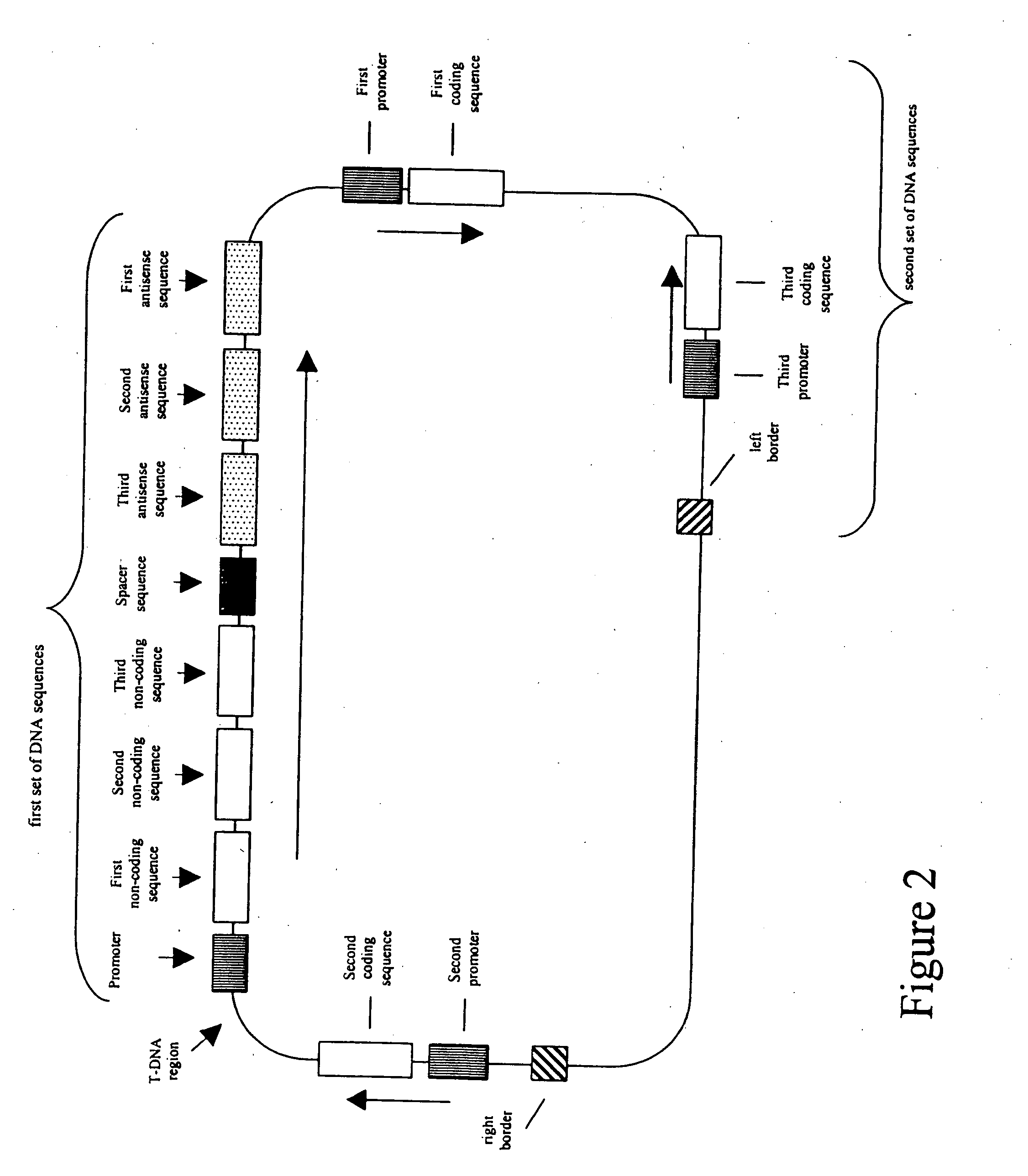 Nucleic acid constructs and methods for producing altered seed oil compositions