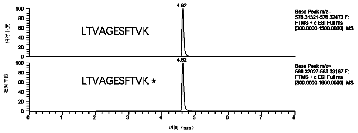 Method for quantifying Apis mellifera honey MRJP3 by liquid chromatography-tandem mass spectrometry