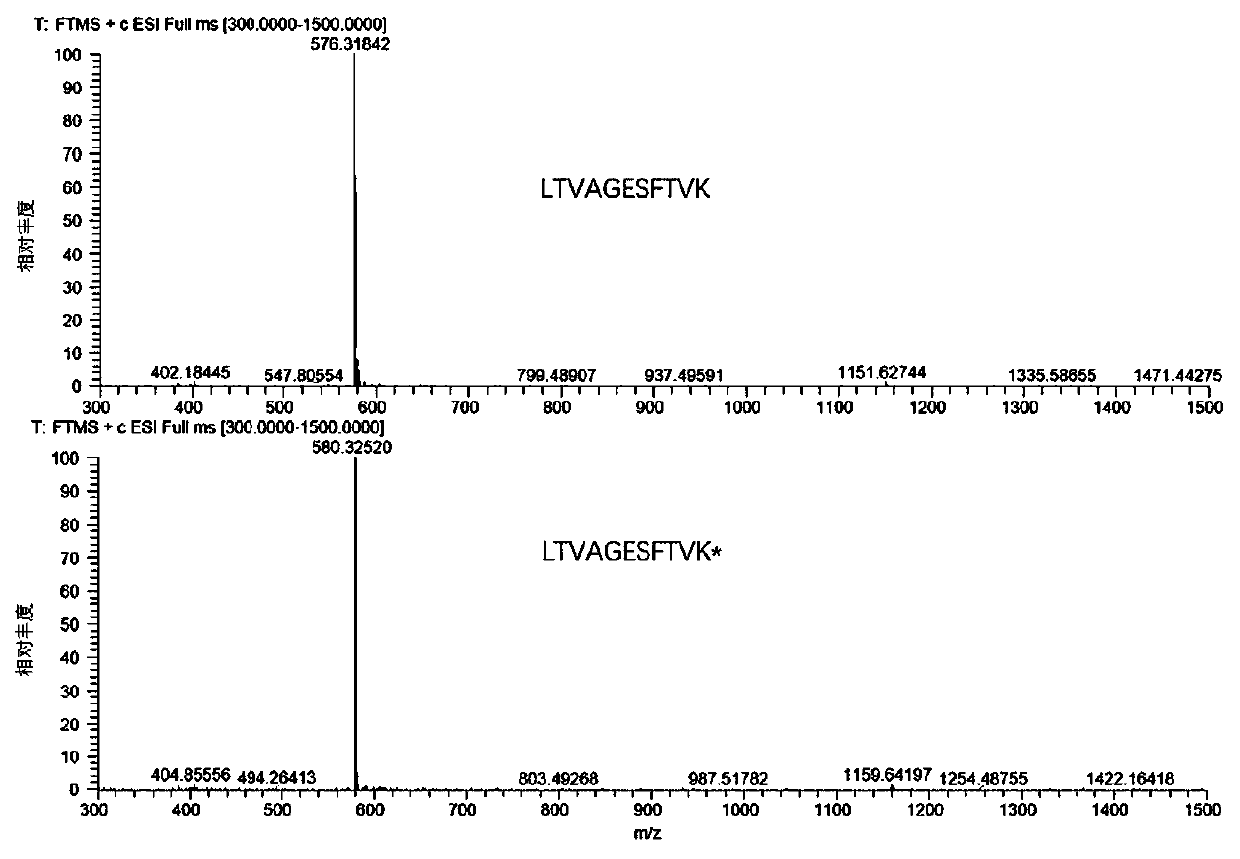 Method for quantifying Apis mellifera honey MRJP3 by liquid chromatography-tandem mass spectrometry