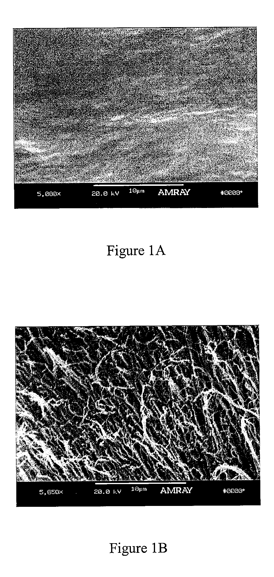 Bone matrix compositions having nanoscale textured surfaces