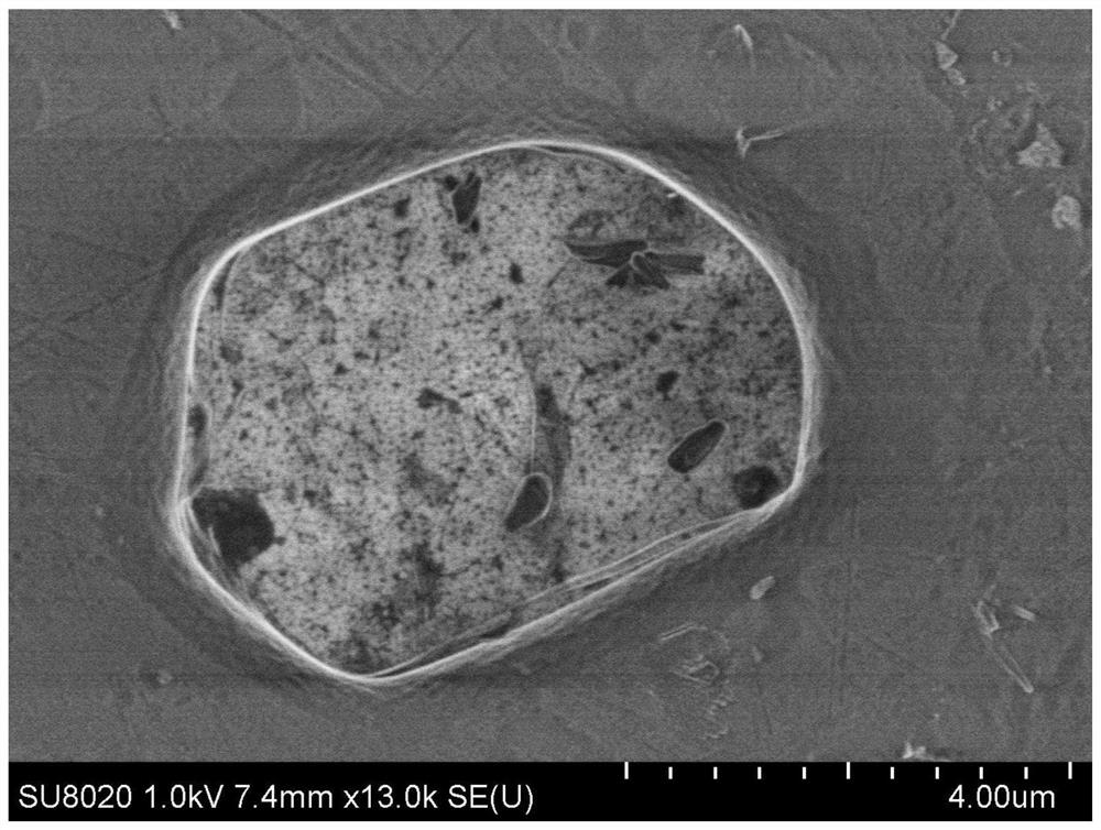 A high thermal conductivity flame retardant polyethylene-based composite material and its preparation method