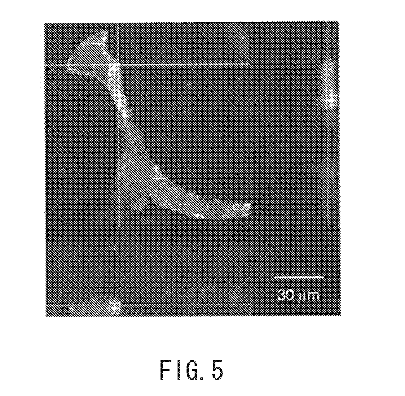 Artificial skin tissue, artificial skin model and manufacturing method therefor