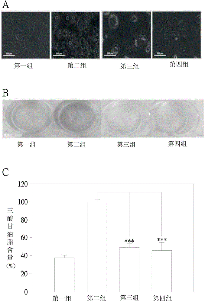 Use of hydroxyl polymethoxylated flavonoid compound and/or derivative thereof