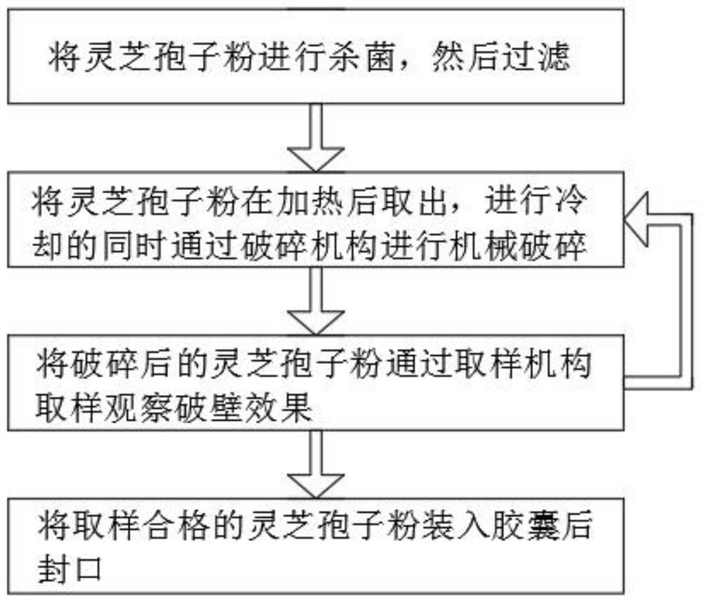 Ganoderma lucidum spore powder capsule and preparation method thereof