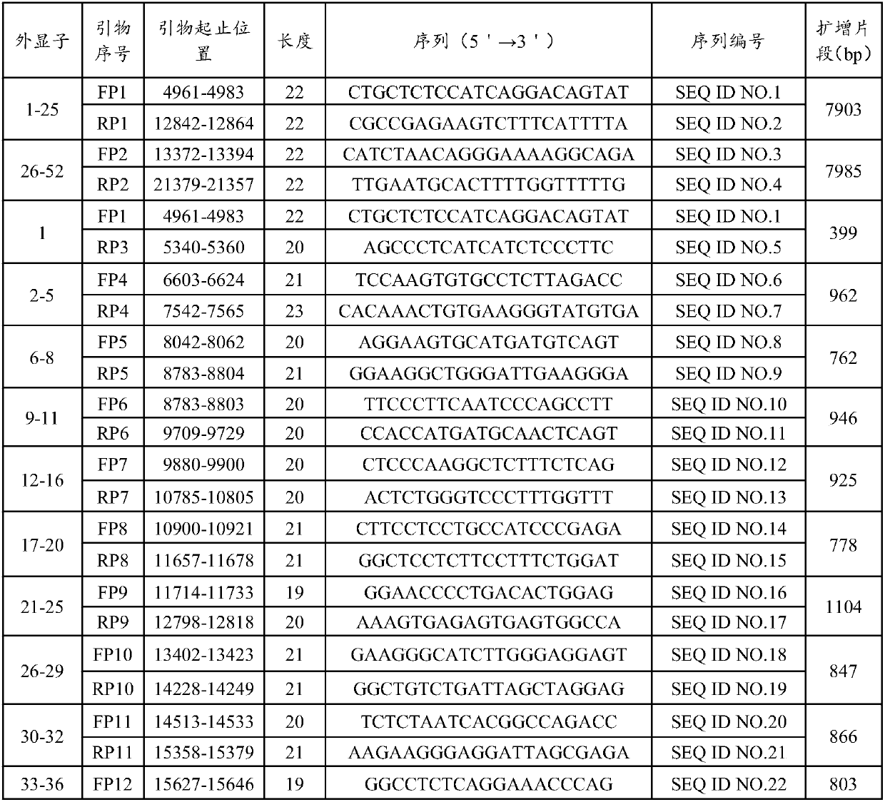 Primers and kit for amplifying and detecting mutation of human COL1A1 and/or COL1A2 genes