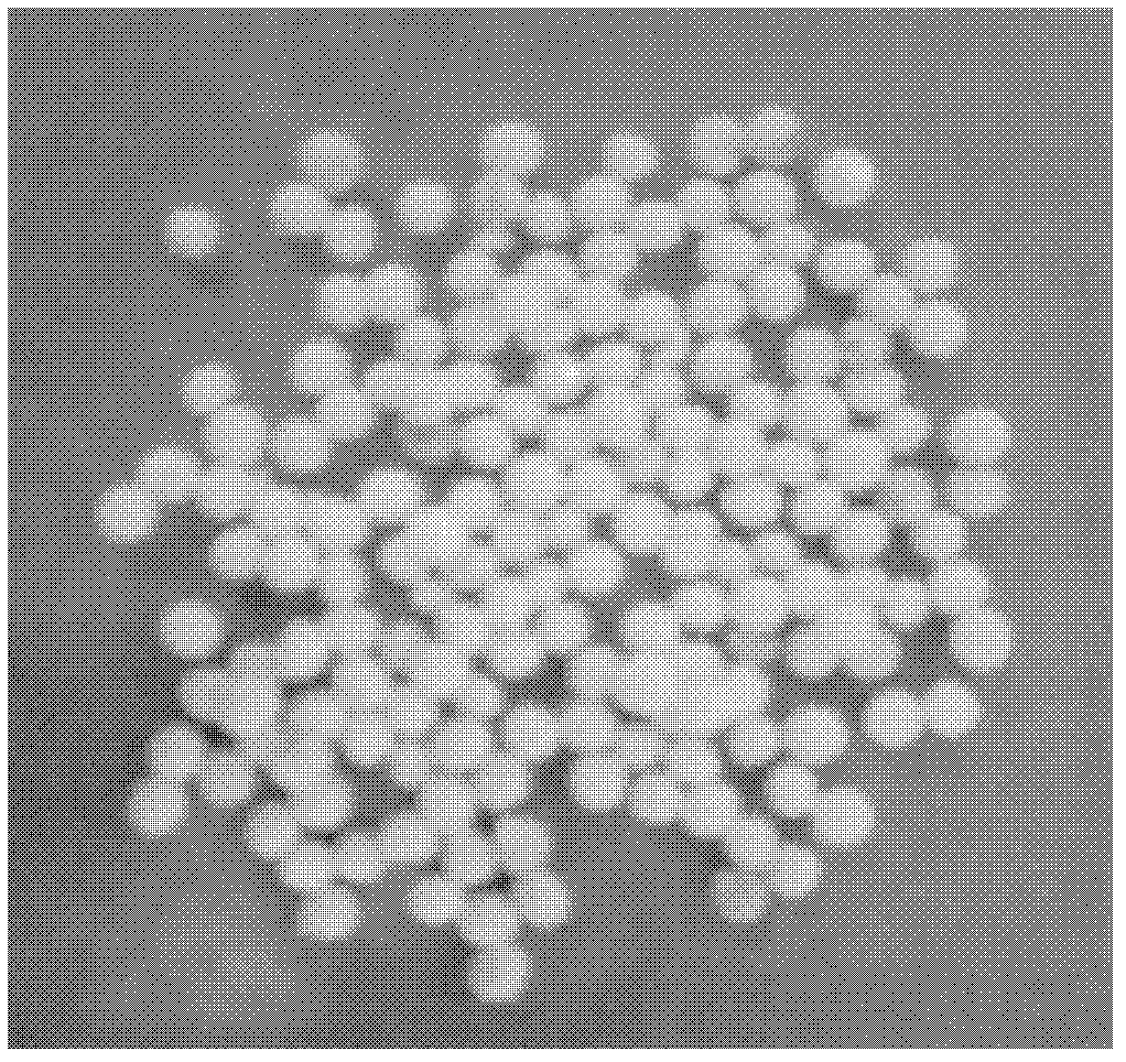 Composite microbial inoculum, immobilization method and application thereof