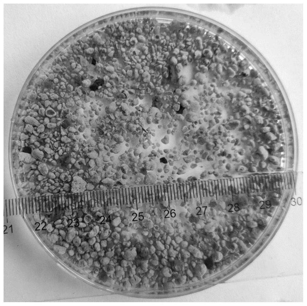 Culture method of denitrification granular sludge for wastewater treatment