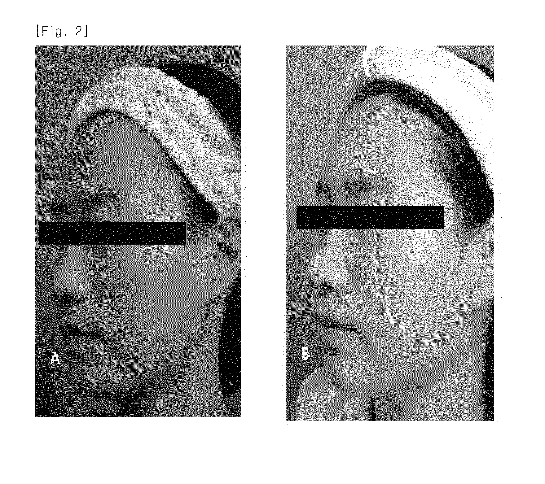 Pharmaceutical composition for treating scars on the skin, and method for treating scars on the skin using same