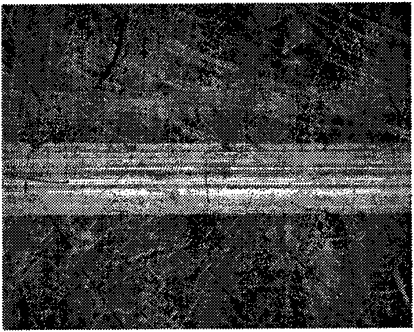 Method for preparing compound metal sulfide diamond composite membrane